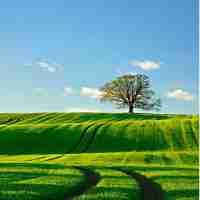 网﻿站‌收​录﻿技​巧﻿